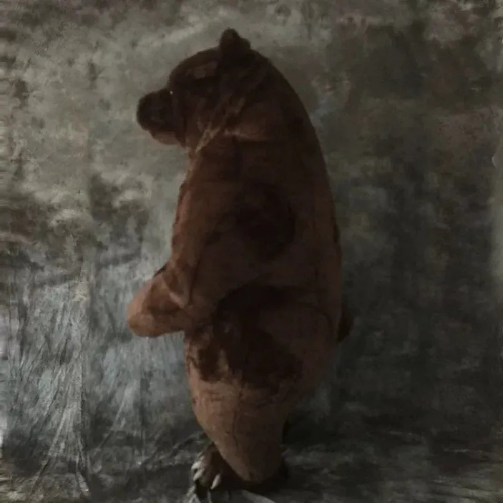 Inflatable Brown Bear Mascot C - Halloween Costume Adult ulasan dan harga